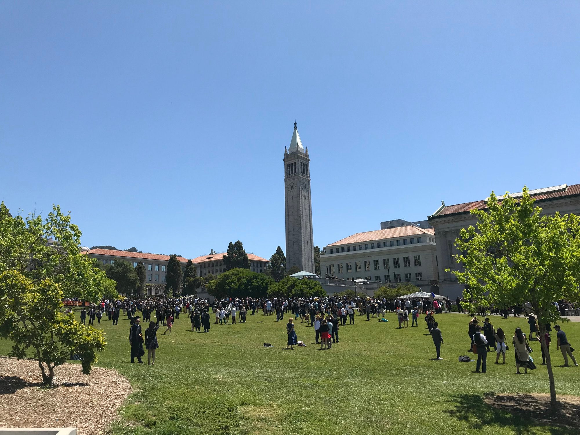 Csu Berkeley UC and CSU to require COVID-19 vaccinations – TestMagic